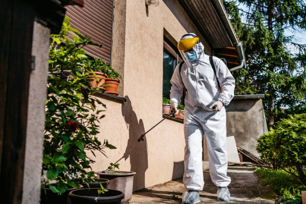 Best Flea Control Services  in Pleasant Hills, OH