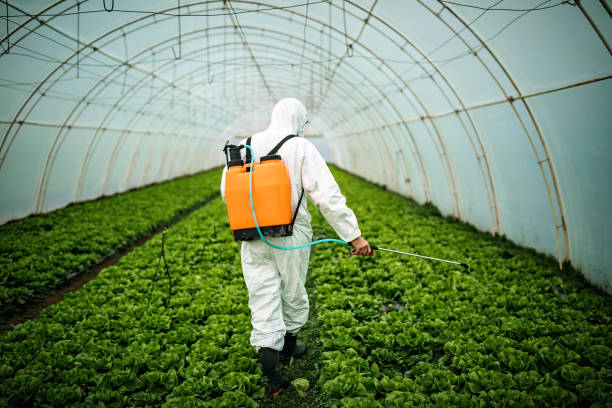 Best Affordable Pest Control Services  in Pleasant Hills, OH
