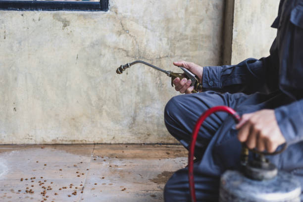 Best Termite Control Services  in Pleasant Hills, OH
