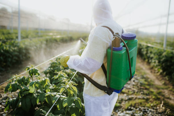 Wasp Removal Services in Pleasant Hills, OH